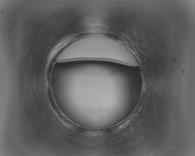 X0000081430245200701120926