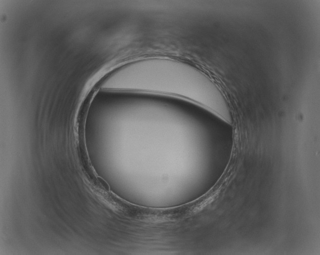 X0000081430246200701120926