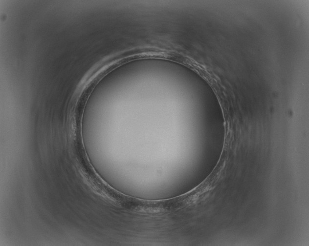 X0000081430247200701120926