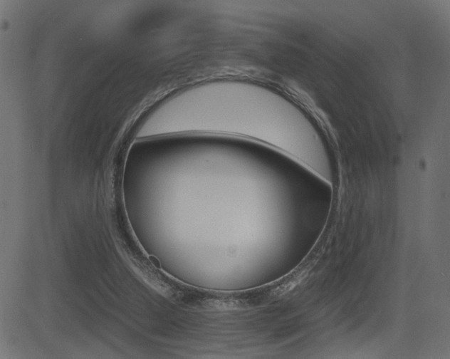 X0000081430250200701120926