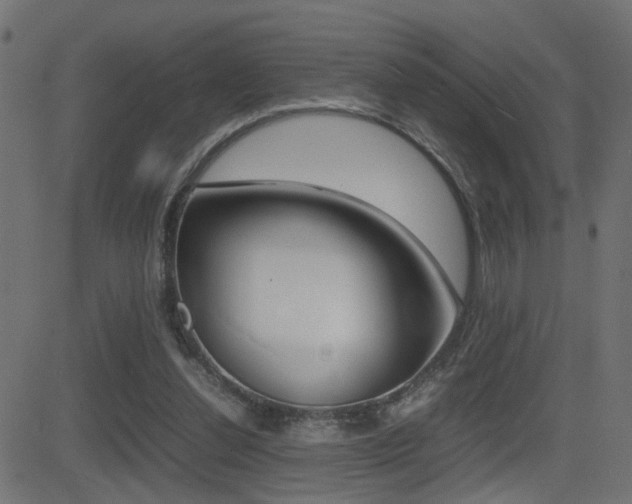 X0000081430252200701120926