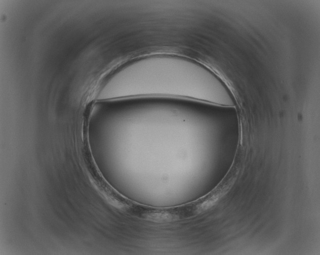 X0000081430253200701120926