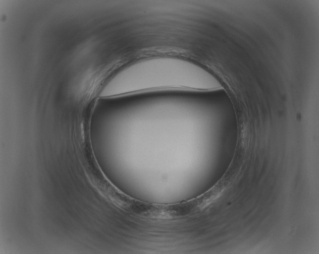 X0000081430254200701120926