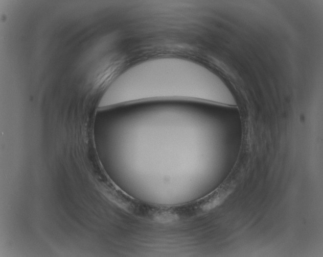 X0000081430258200701120926