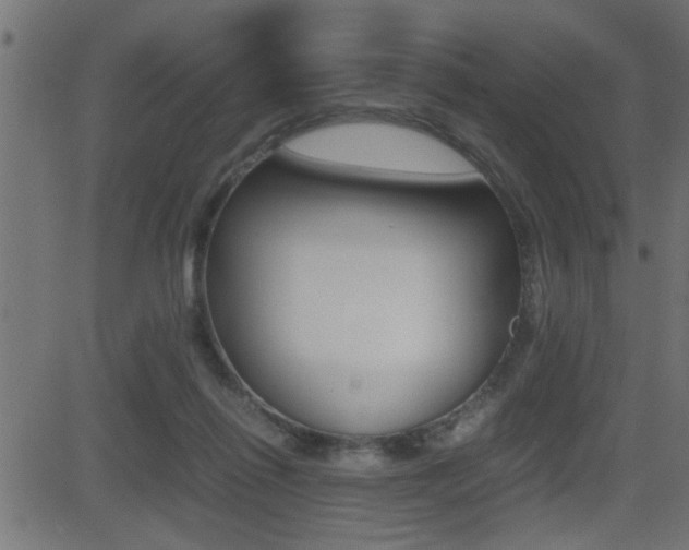 X0000081430262200701120926