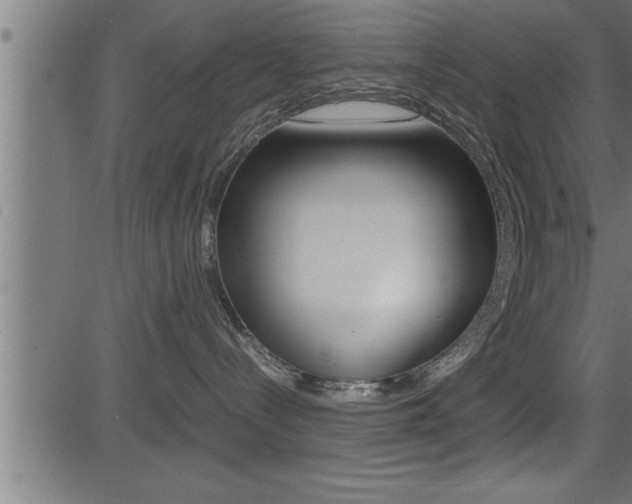 X0000081430288200701120927