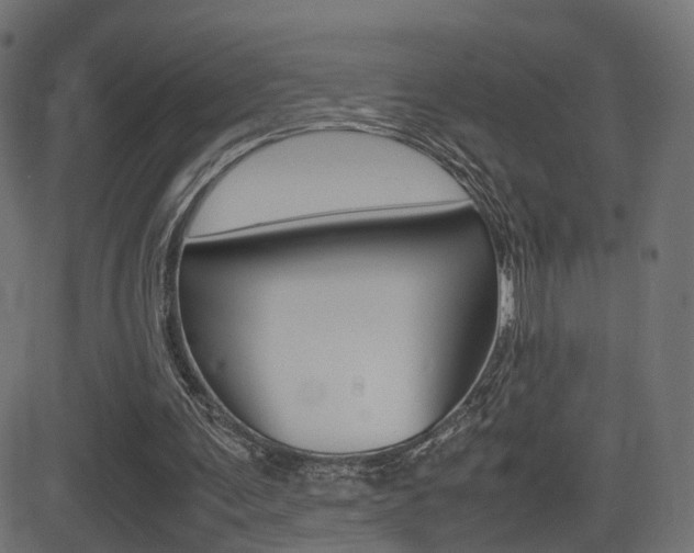 X0000081430291200701120926