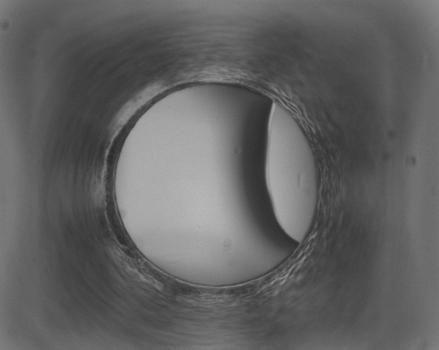 X0000081430292200701120926