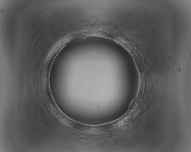X0000081430293200701120926