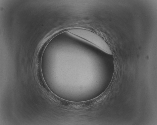 X0000081430295200701120926