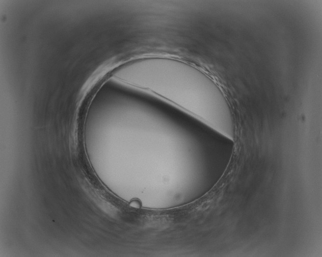 X0000081430296200701120926
