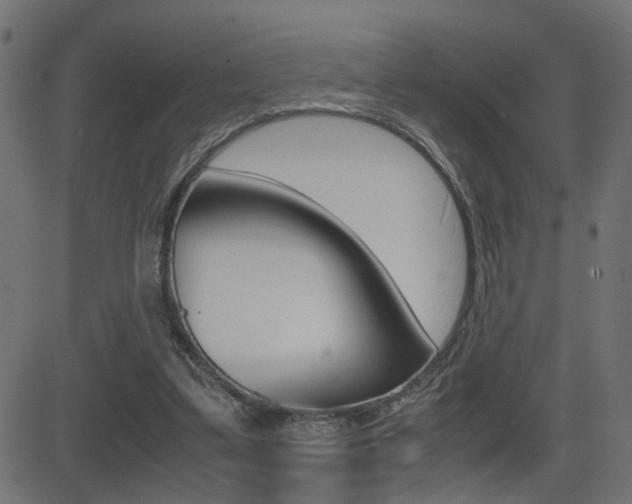 X0000081430299200701120926