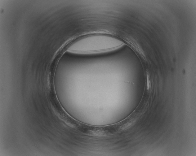 X0000081430300200701120926