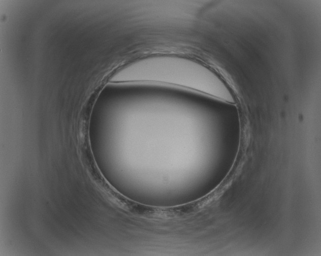 X0000081430305200701120926