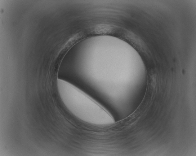 X0000081430308200701120926