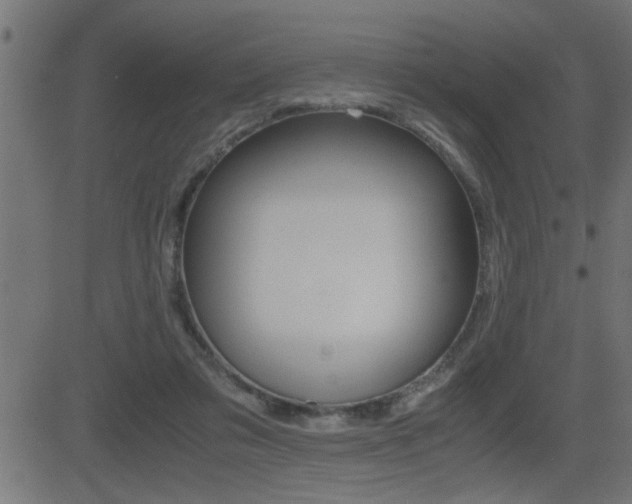 X0000081430309200701120926