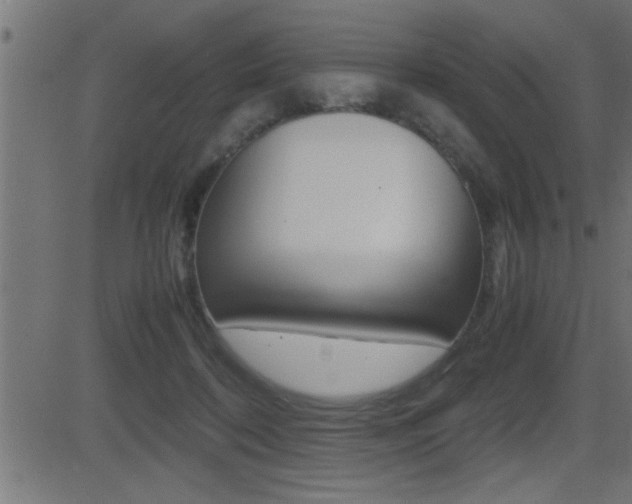 X0000081430316200701120926