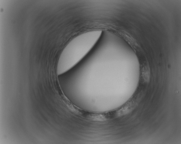 X0000081430322200701120926