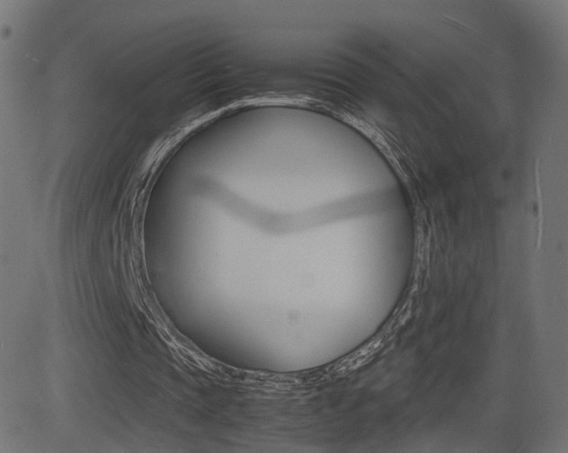 X0000081430337200701120925