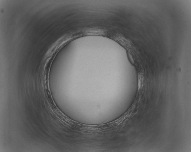 X0000081430339200701120925