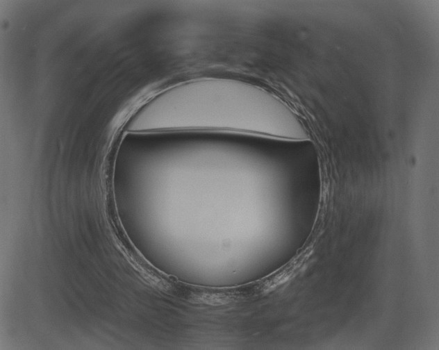 X0000081430341200701120925