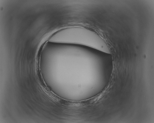 X0000081430342200701120925