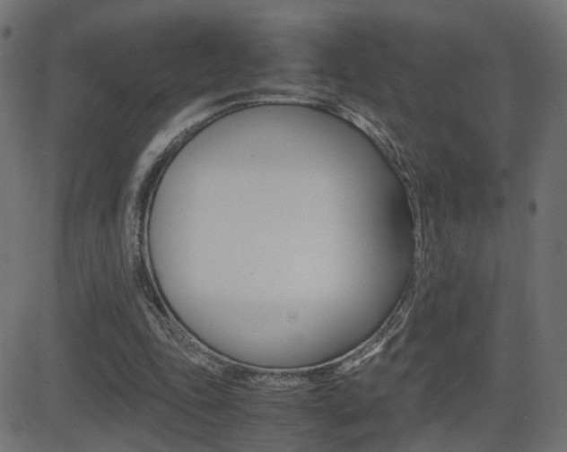 X0000081430343200701120925