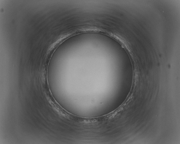 X0000081430345200701120925