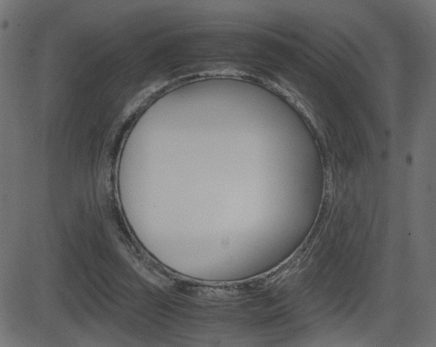 X0000081430347200701120925