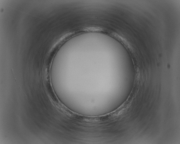 X0000081430351200701120925