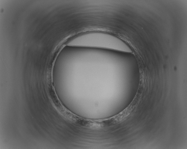 X0000081430352200701120925