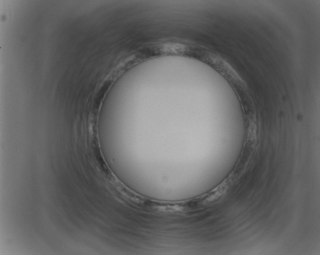 X0000081430363200701120925