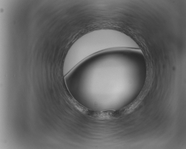 X0000081430384200701120925