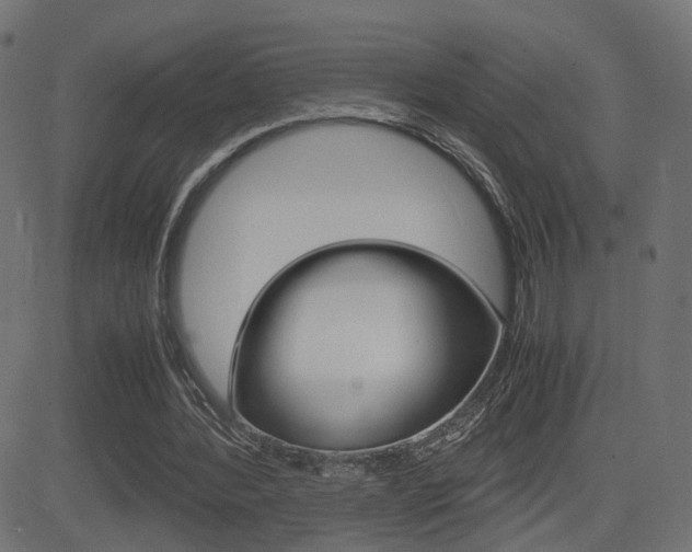 X0000081430388200701120924