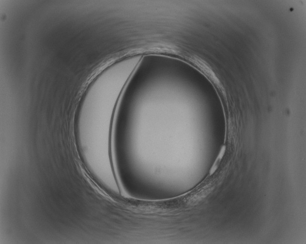 X0000081430389200701120924