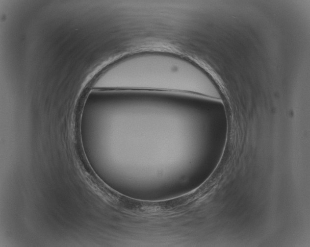 X0000081430391200701120924