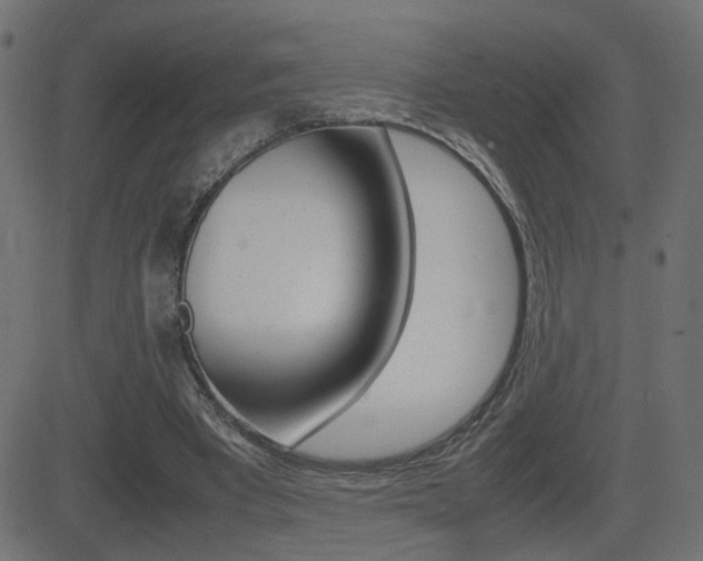 X0000081430393200701120924