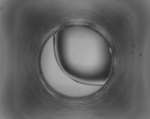 X0000081430397200701120924