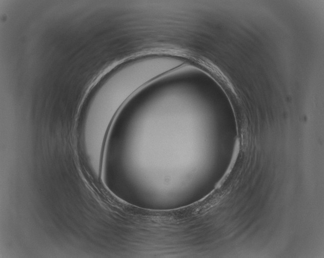 X0000081430436200701120923
