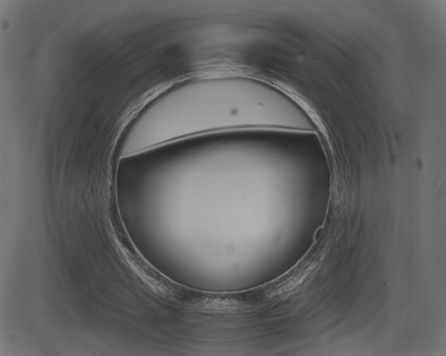 X0000081430437200701120923