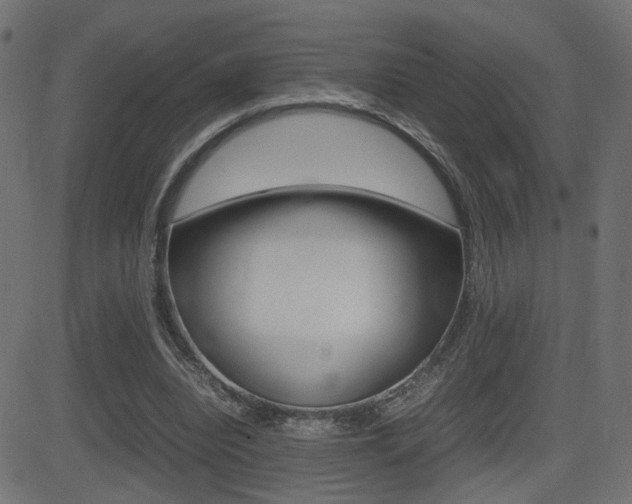 X0000081430440200701120923