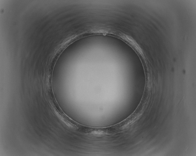 X0000081430441200701120923