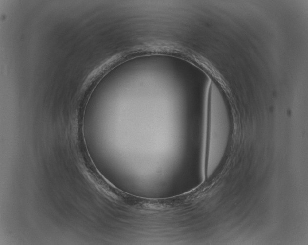 X0000081430442200701120923