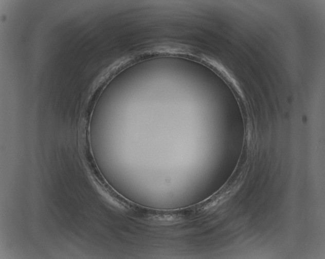 X0000081430445200701120923