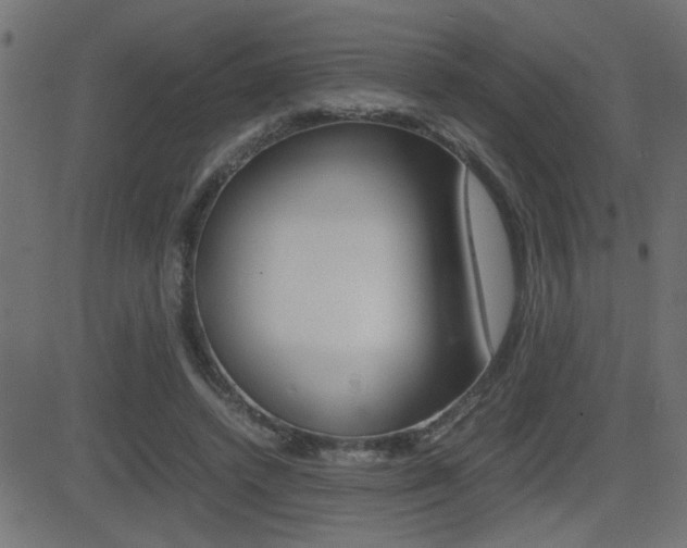 X0000081430448200701120923