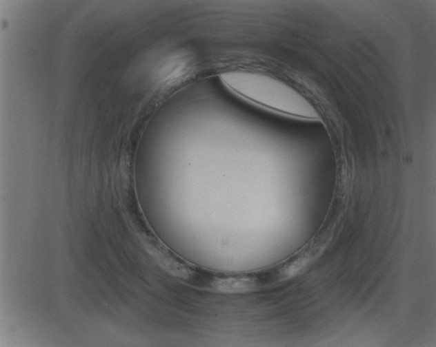 X0000081430461200701120923