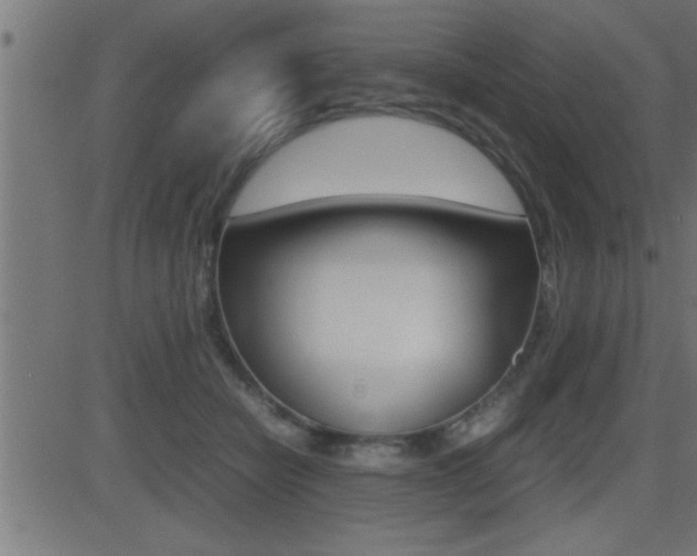 X0000081430462200701120923