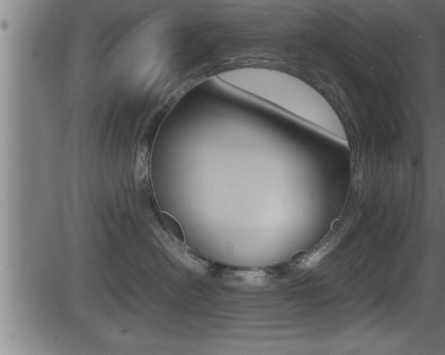 X0000081430478200701120924