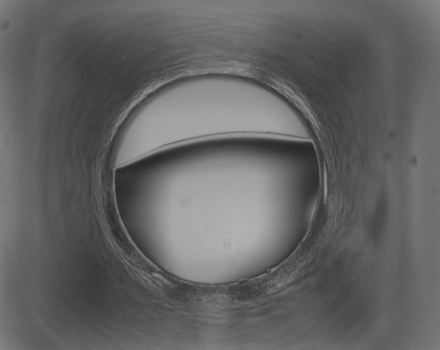 X0000081430483200701120923