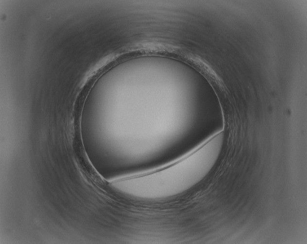 X0000081430488200701120923